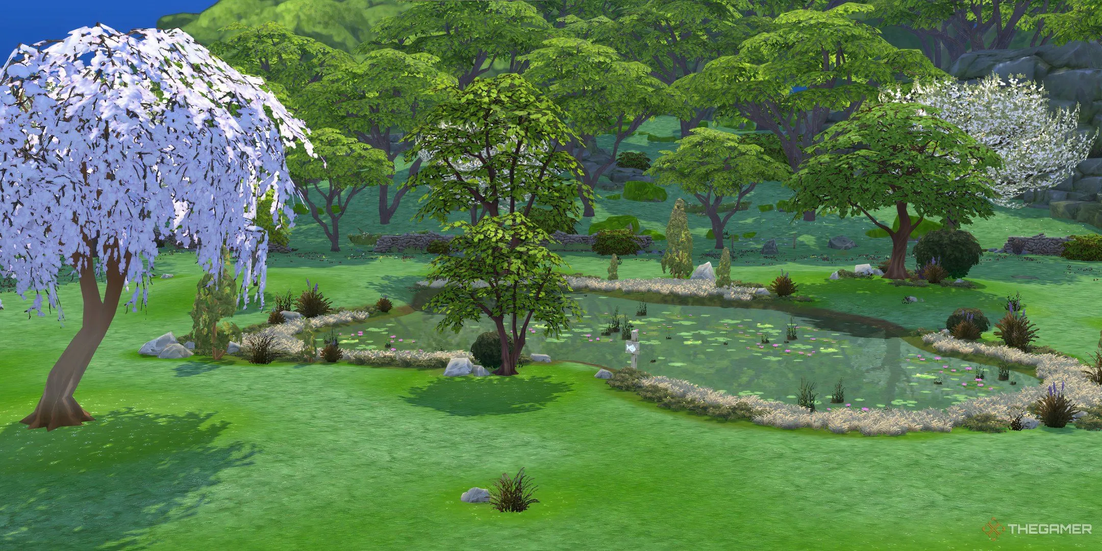 Ao nông Fern &amp; Frond Wading Pond lớn tại Sprucederry Grove.