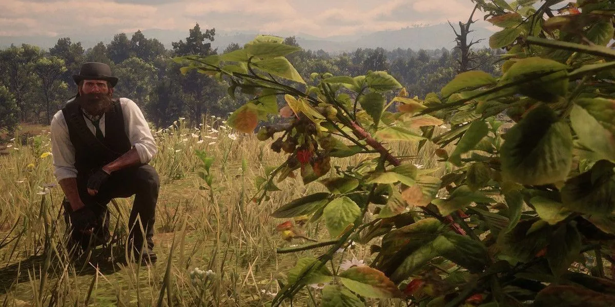 Arthur Morgan trong Red Dead Redemption 2 đang thu thập vật phẩm, điển hình nhiệm vụ sưu tầm