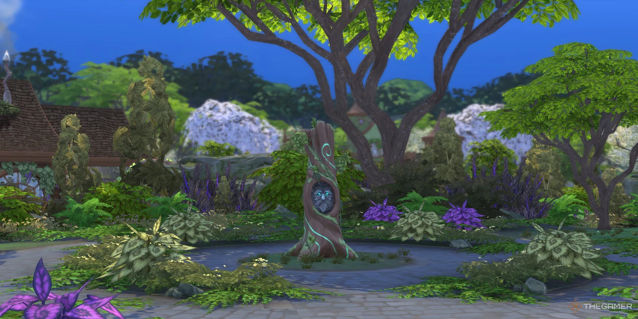 Cây Glasswood Tree huyền ảo trong vòng đá ở Sprucederry Grove.