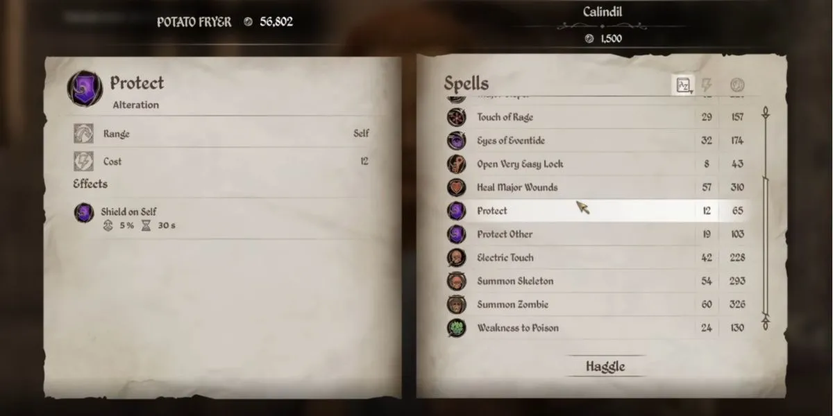 Hiệu ứng bảo vệ của phép Protect bao quanh nhân vật trong The Elder Scrolls IV: Oblivion Remastered