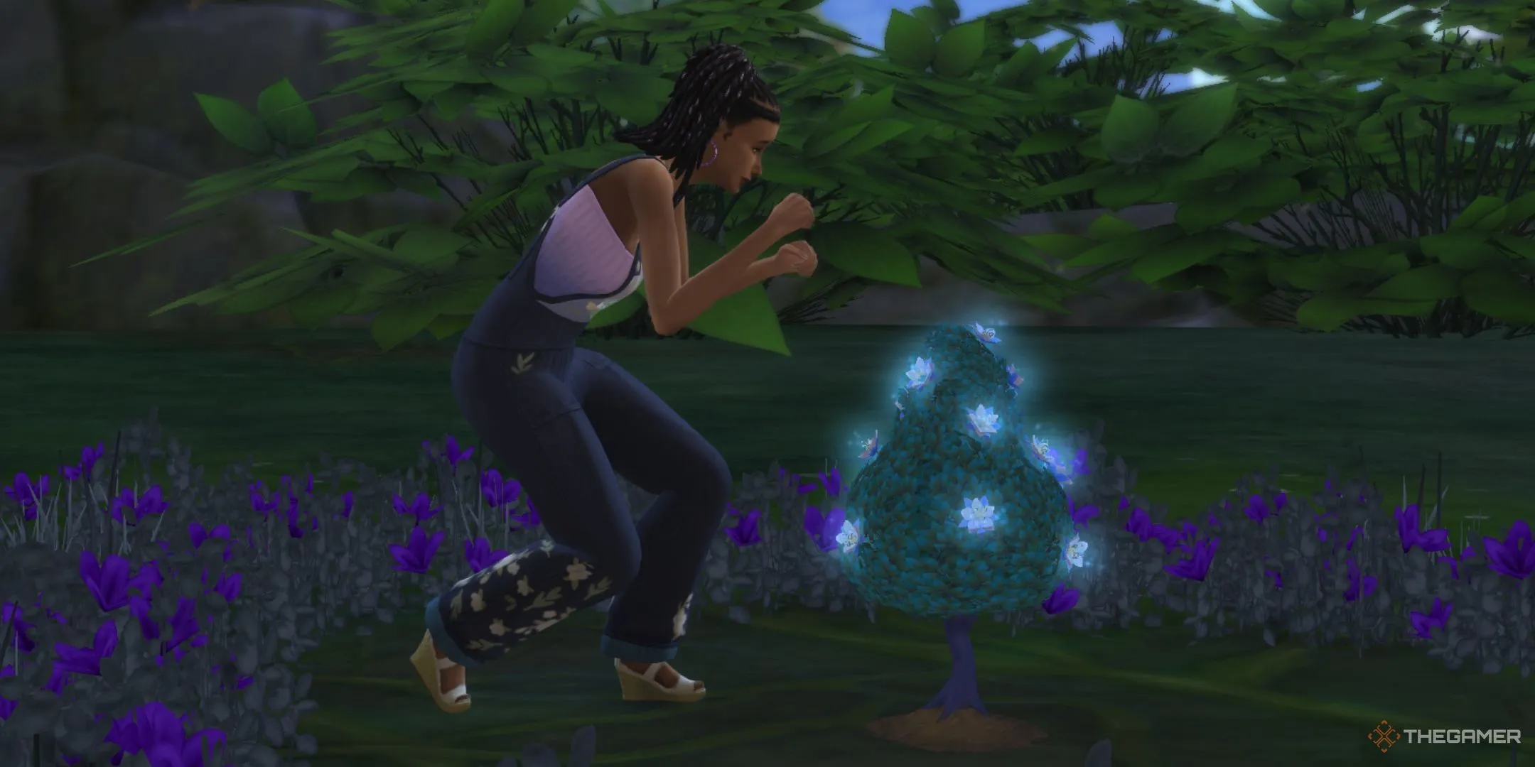 Một Sim đang thu thập những cánh hoa Aura ở Everdew trong The Sims 4 Enchanted by Nature.
