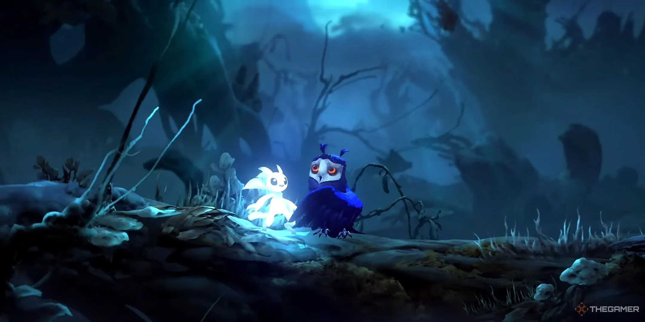 Ori và Ku trong game Ori and the Will of the Wisps, biểu tượng của tình bạn và sự hy sinh cảm động.