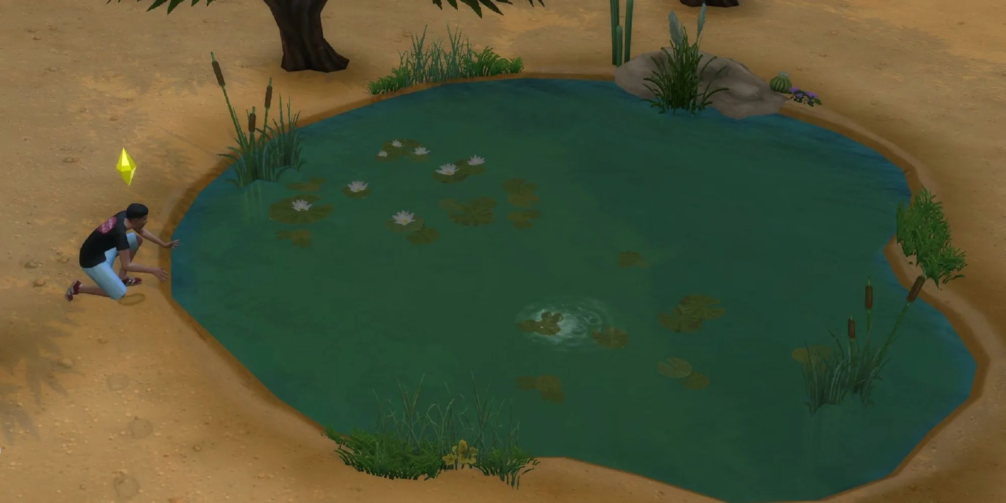 Sims 4 Nature's Calling Tuần 4: Sim đang bắt ếch trong Công viên Hoa Sa Mạc, minh họa nhiệm vụ tuần trước