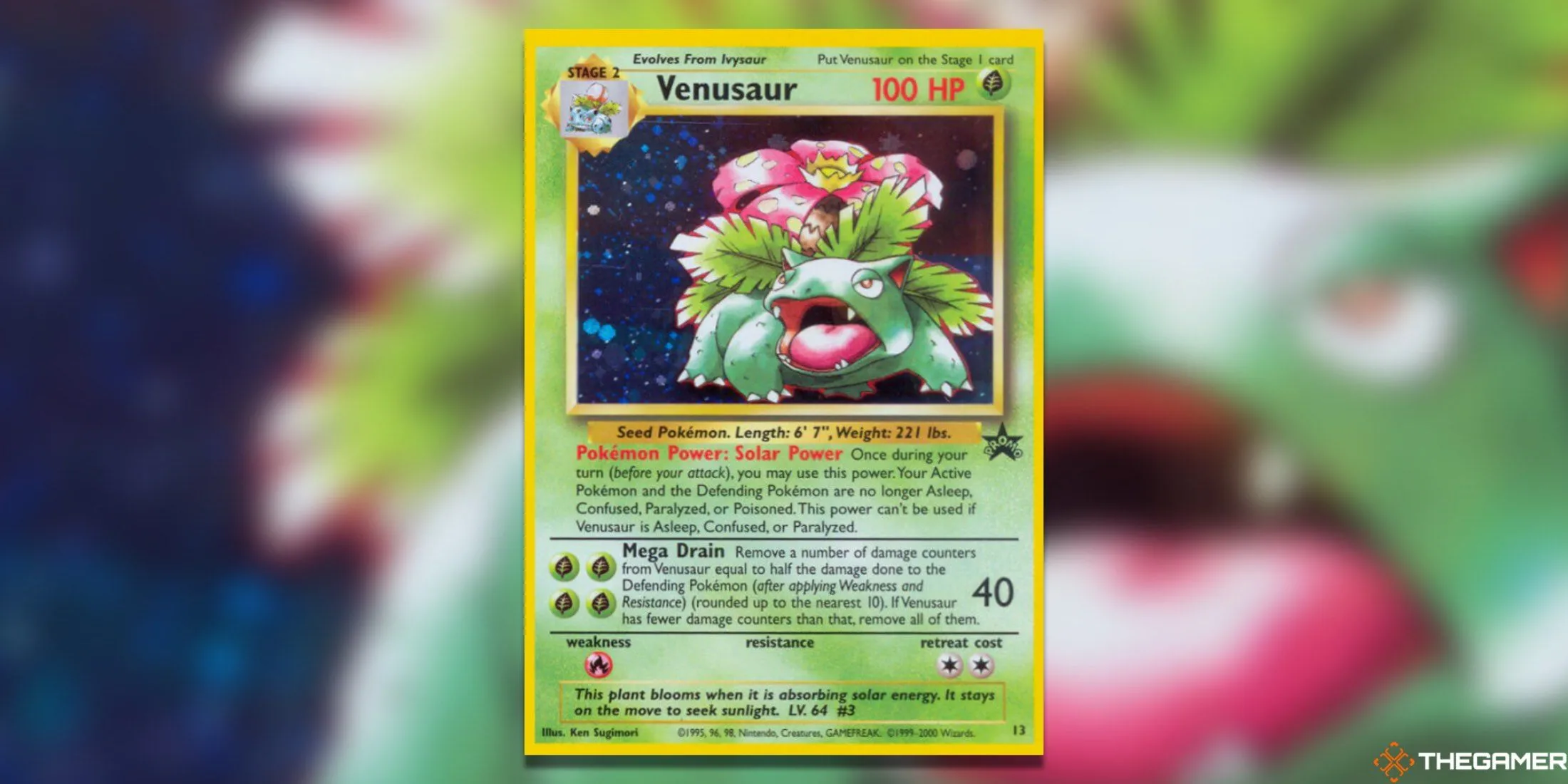 Thẻ bài Venusaur WoTC Promo với artwork độc đáo từ game Boy Color trong Pokemon TCG