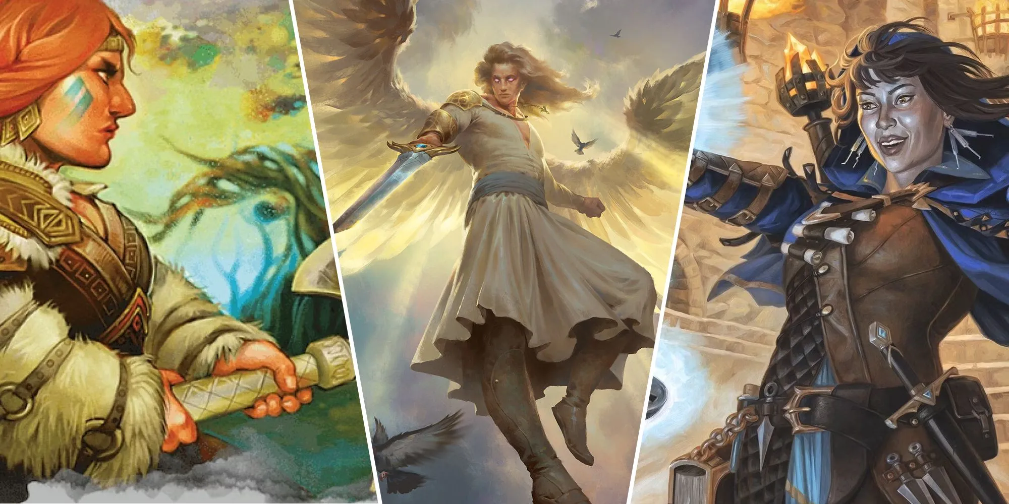 Tổng hợp hình ảnh minh họa các hành động và quy tắc trong Dungeons & Dragons